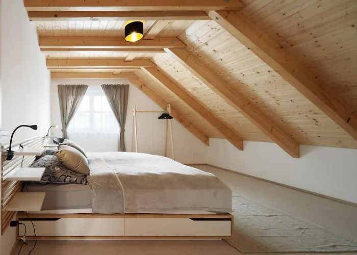 Vojtechov Tatil Evi Lísek
