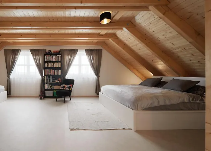 Vojtechov Tatil Evi Lísek